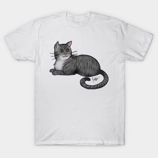 Cat - American Shorthair - Silver Tabby T-Shirt